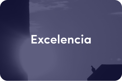 Valor de ETRICA: excelencia