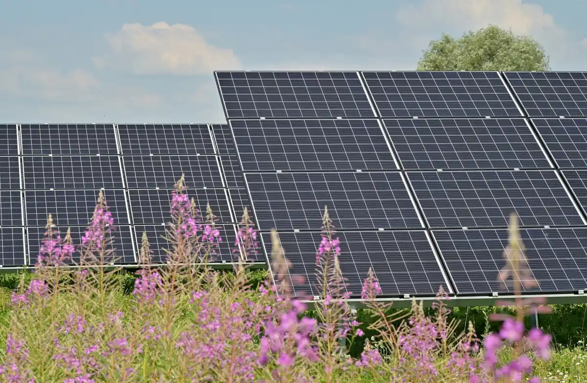Cuánta energía de red evitas cargando con solar